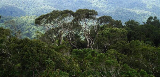 Sri Lanka: Wildlife Tour, Rainforest, National Park, - Preparing for the Trek