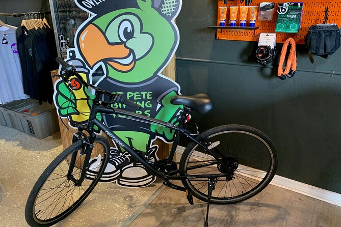 St Pete E-Bike Rentals Review: A Fun Experience - Highlights of the E-Bike Rental Experience
