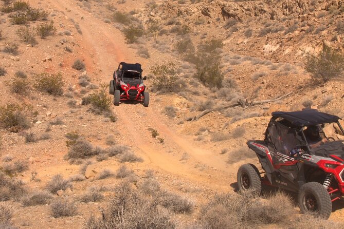 Summer Mojave Desert Twilight RZR Quest in Las Vegas - Pricing Details and Cancellation Policy