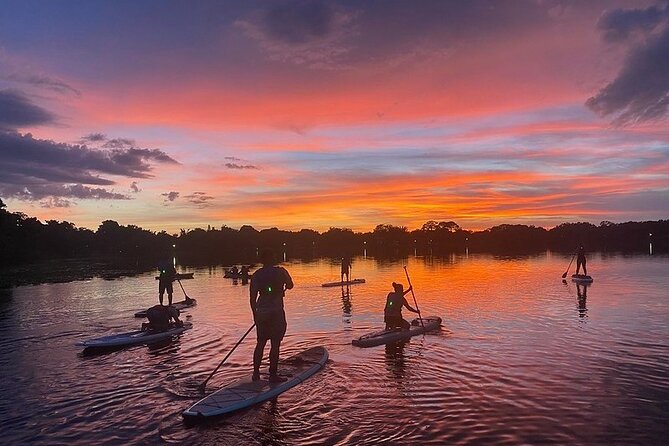 Sunset Clear Kayak or Clear Paddleboard in Orlando - Customer Feedback and Testimonials