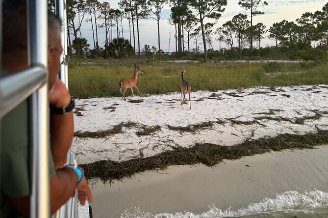 Sunset Cruise With Good Jibez Only in Panama City Beach - Capturing Memorable Moments