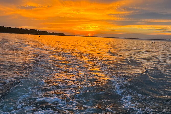 Sunset Dolphin Excursion - Future Booking Intentions