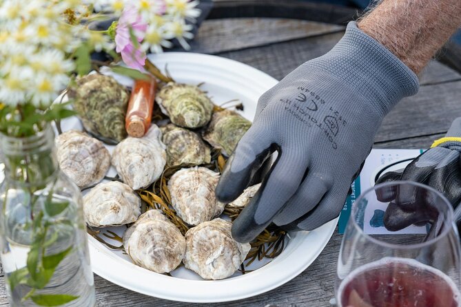 Sunset Guided Oyster Tasting Review - Customer Reviews and Ratings