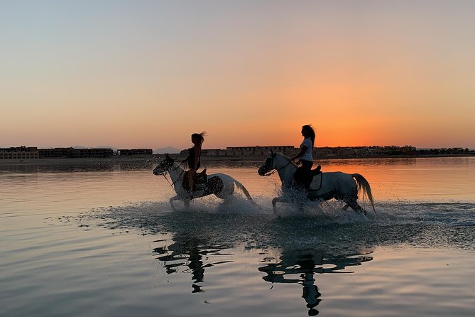 Swimming By Horse in Red Sea, Horse Riding Sea & Desert-Hurghada - Frequently Asked Questions