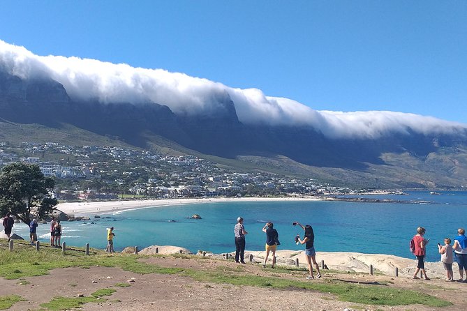 Table Mountain, Penguins, Cape of Good Hope and Stellenbosch Tour - Cancellation Policy and Reviews