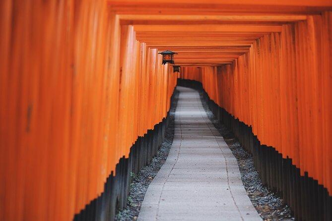 Tailored Full Day Private Experience of Kyoto for 1 Day Visitors - Noteworthy Highlights