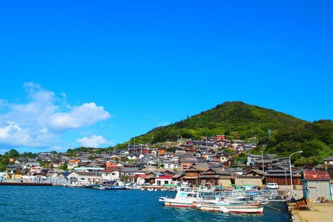 Takamatsu Full-Day Private Tour With Government-Licensed Guide - Discovering Folkcraft Museum and Gardens
