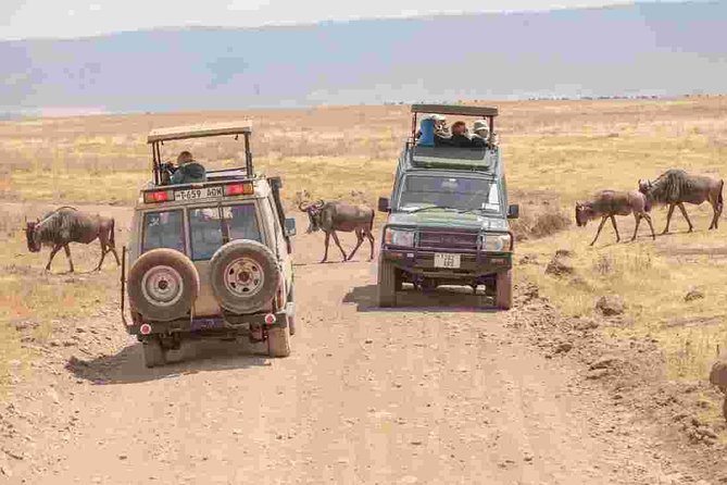Tanzania Family Holiday; 8-Days Lodge Safari - Frequently Asked Questions