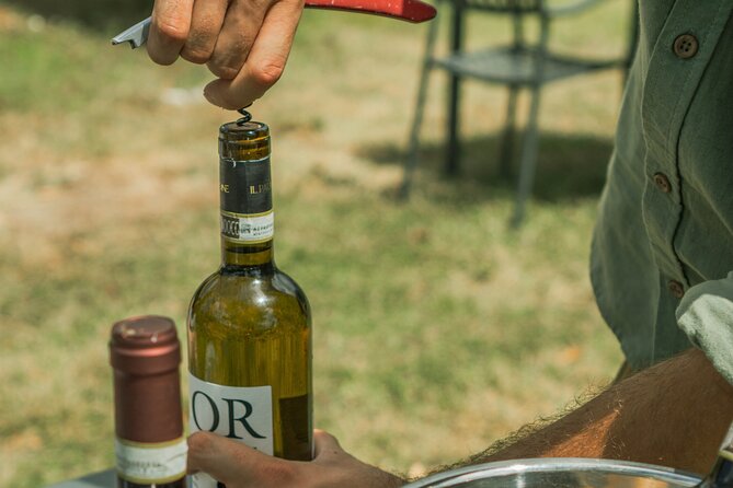 Tasting of Vernaccia, Chianti and Extra Virgin Olive Oil - Chianti Classico Tasting