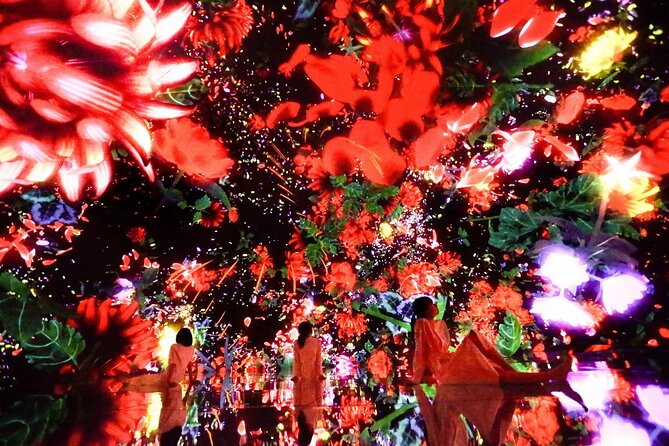 Teamlab Planets Walking Tour With Toyosu Fish Market Buffet Lunch - Frequently Asked Questions
