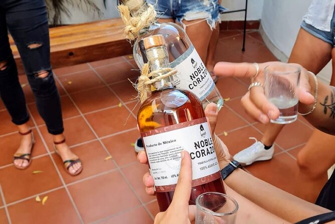 Tequila, Mezcal and Raicilla Tasting - Final Thoughts on the Experience