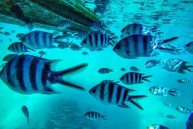The Adventure East of Mauritius: 3-Watersport Activities & Blue-Bay Marine Park - Watersport Activities Offered