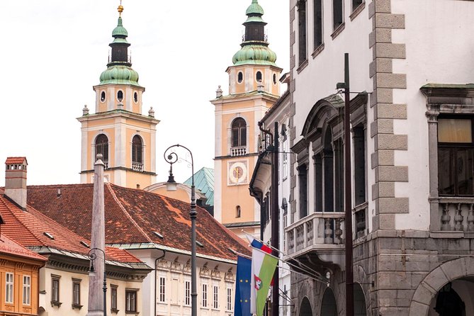 The Ljubljanas Cathedral Tour (St. Nicolas Church) - Ask Away