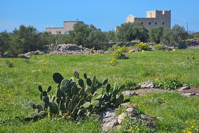 Three Days of Culinary Exploration in Laconia, Peloponnese - Connecting With Laconian Culinary Traditions
