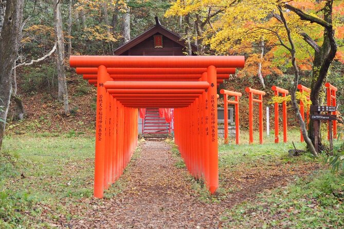 Togakushi Shrine Hiking Trails Tour With Soba in Nagano - Meeting Point and Logistics