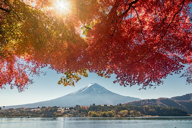 Tokyo: Hakone, Owakudani & Gotemba Premium Outlet 1DAY Bus Tour - Additional Considerations