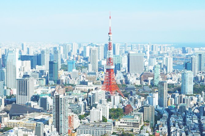 Tokyo Half-day Customized Private Tour - Crafting an Unforgettable Tokyo Adventure