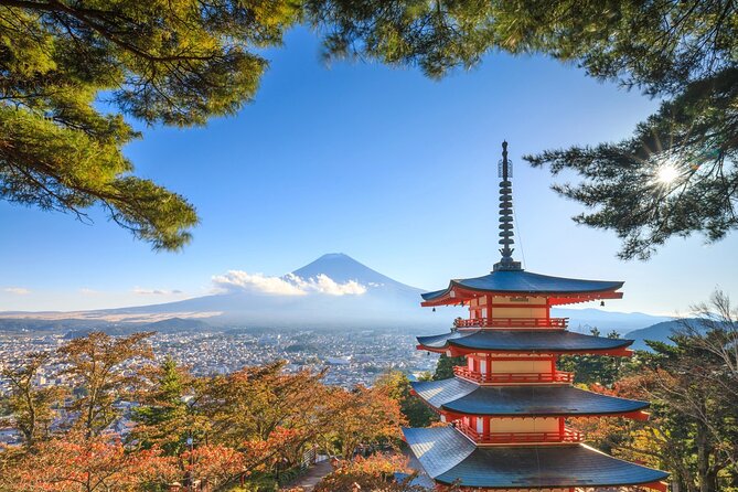 Tokyo Mt. Fuji, Kawaguchiko Fireworks Small Group - Pricing and Booking Information