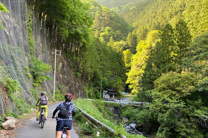 Tokyos Hidden Nature Cycling Tour - Okutama Historical Road Tour - What to Expect