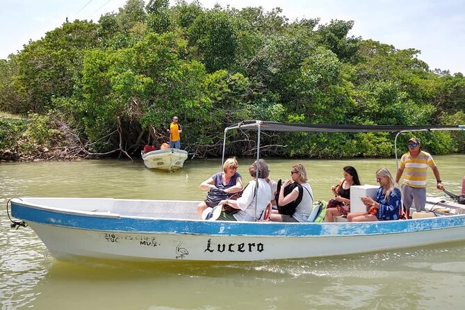 Tour Las Coloradas & Rio Lagartos Only From Tulum - Booking and Cancellation Policy