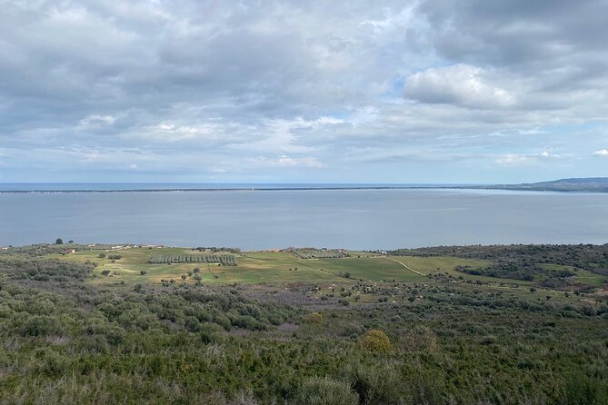 Tour of Gargano With the Train From Foggia to Rodi Garganico - Contacting the Tour Operator