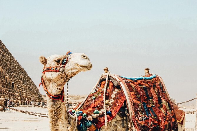 Tour of the Pyramids - Traveler Reviews and Ratings