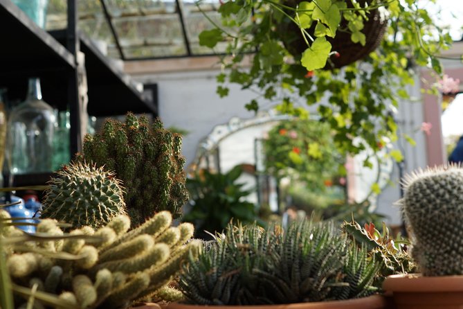 Tour to Gardenia Shevardnadze Flea Market and Tbilisi Old Town - Traveler Reviews and Feedback