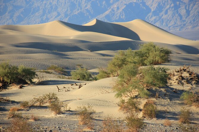 Tour With French Guide of Death Valley - What to Bring on Your Adventure