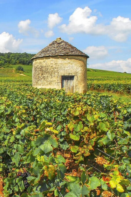 Transfer Paris : From Charles De Gaules Airport to Beaune - Frequently Asked Questions