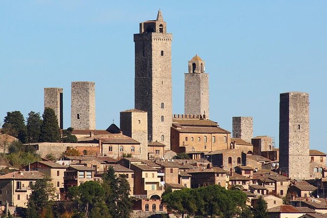 Truffle Hunting in Tuscany: Private Shore Excursion From Livorno Port - Logistics and Tour Arrangements
