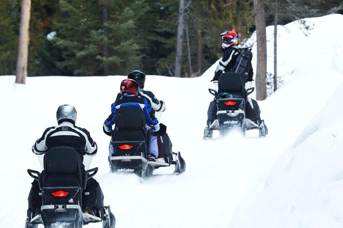 Turpin Meadow Ranch Snowmobiling Review - Dining Options at the Ranch