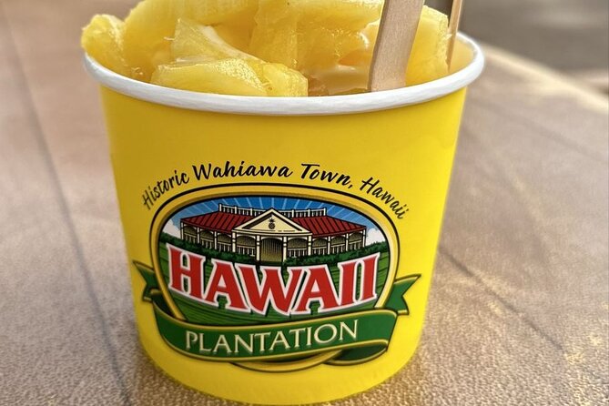 Turtle Snorkeling and Dole Plantation Tour Review - Feedback and Reviews