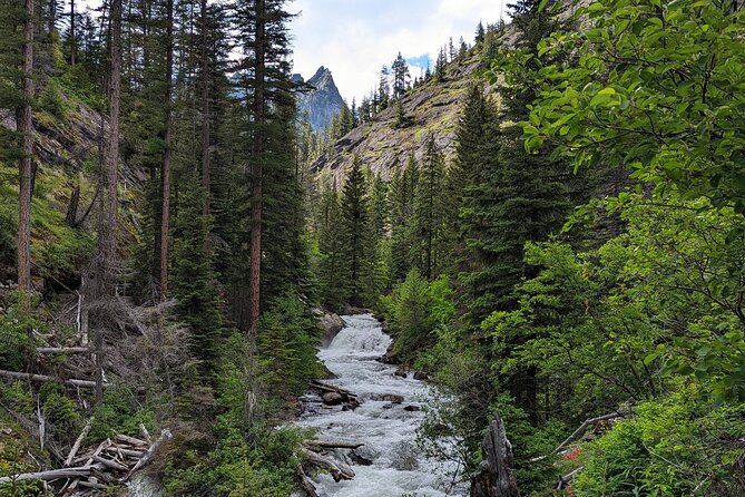 Ultralight Backpacking Gear Rental Review - Customer Reviews and Rating