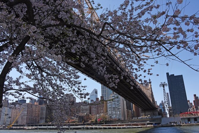 Uptown to Midtown Roosevelt Island Tour - Exploring Upper Manhattan and Midtown