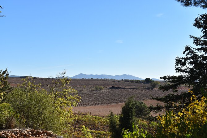 Utiel-Requena Excursion: Uncover the Flavors of Valencias Wine - Ask Away