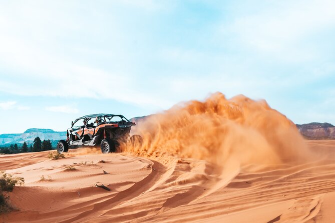 UTV Dune Cruise and Surf at Coral Pink Sand Dunes - Customer Testimonials