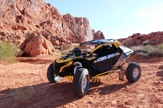 Valley of Fire Ride Along Non Driver UTV Passenger Tour Las Vegas - Wildlife and Vegetation