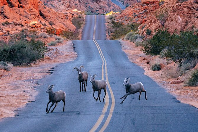 Valley of Fire State Park on a Slingshot - Exploring Valley of Fire State Park
