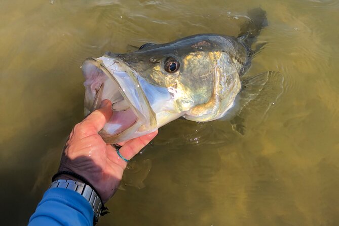 Vero Beach Inshore Fishing Guide Service - Benefits of Choosing a Guided Fishing Service