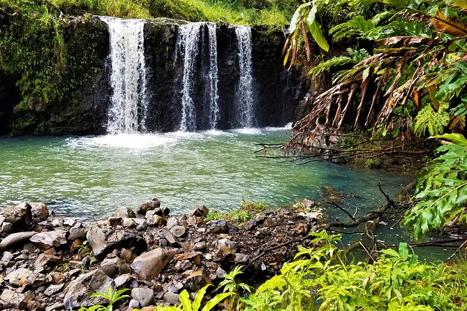 Viator Exclusive: Maui Tropical Rainforest Small Group Tour - Experience the Beauty of Mauis Rainforest