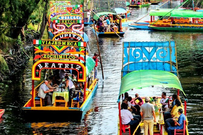 Visit to Xochimilco, Coyoacán, and Ciudad Universitaria - Alternative Transportation Options