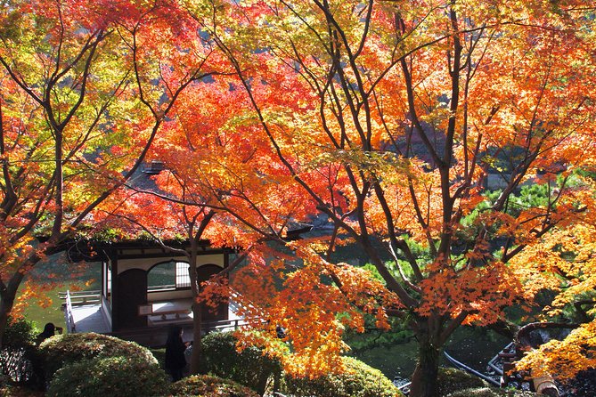 Wakayama Castle Town Walking Tour - Booking and Cancellation Policy