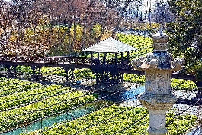 Wasabi Farm Walking Tour & Lunch - Customer Reviews and Recommendations