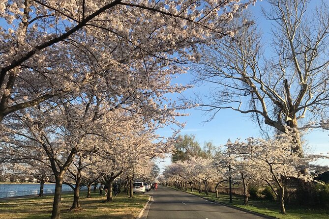 Washington D.C. Cherry Blossom 1-Day Tour From New York - Frequently Asked Questions