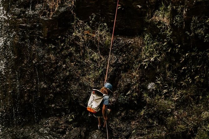 Waterfall Rappelling at Kulaniapia Falls: 120 Foot Drop, 15 Minutes From Hilo - Capturing the Memorable Waterfall Adventure