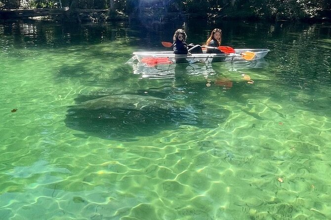 Weeki Wachee Clear Kayak Ecotours Manatee Season - November 14th-March 31st - Booking and Reservation Information