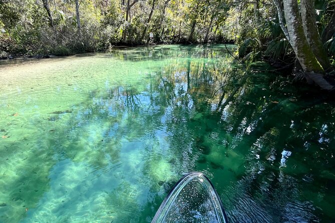 Weeki Wachee Clear Paddle Board Ecotours - Frequently Asked Questions