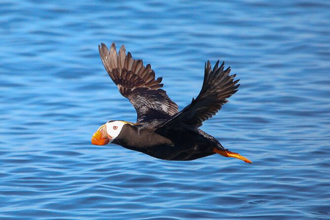 Whale Watching + Deception Pass Tour Review - Booking and Cancellation Policy