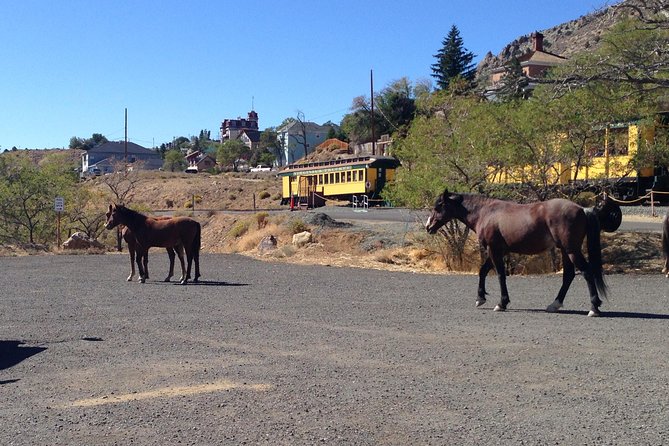 Wild West Day Trip to Virginia City From Tahoe With Train Ride - Knowledgeable Tour Guides and Commentary
