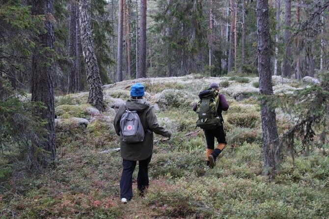 Wildlife Hiking in Stockholm With Animal Spotting - 2 Days - Ask Away